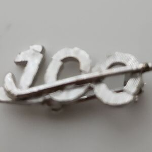 Vintage 100 Pin/Brooch